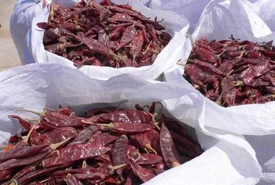 辣椒干品种详解 2015年产美国红、金塔、益都红的特性与市场情况