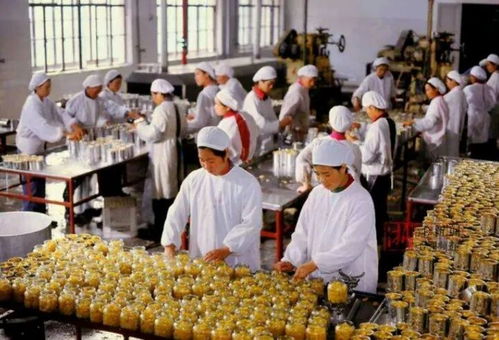 杭州罐头食品厂旧址焕新 从工业遗产到城市新地标